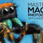 Andres-Moline-Fstoppers-–-Mastering-Macro-Photography-Download