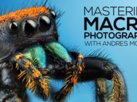 Andres-Moline-Fstoppers-–-Mastering-Macro-Photography-Download