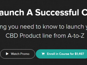 Dr.-Bee-Thomas-Matt-Sibert-–-How-To-Launch-A-Successful-CBD-Brand-Download