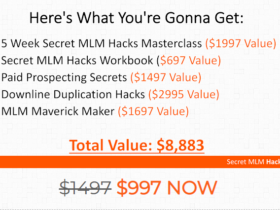 Stephen-Larsen-Secret-MLM-Hacks-Download