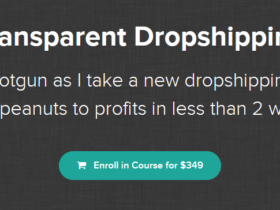 Transparent-Dropshipping-2019-Download