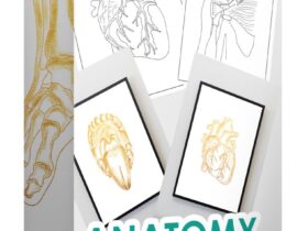 Anatomy-Activity-Kit-Coloring-Book-Free-Download