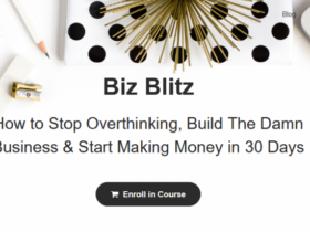 Biz-Blitz-Elise-McDowell-Free-Download