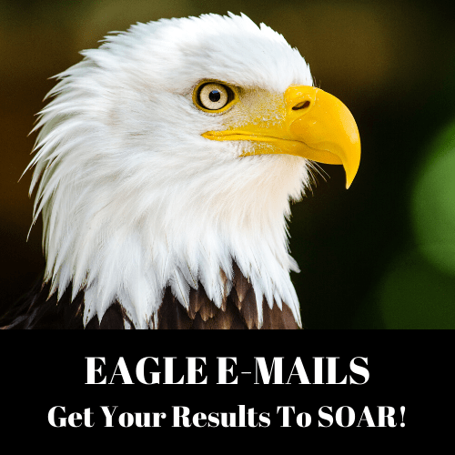 Dawud-Islam-Eagle-Emails-Get-Your-RESULTS-To-SOAR-Free-Download