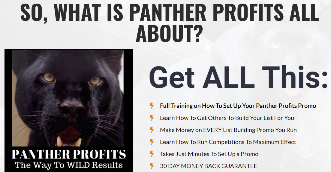 Panther-Profits-Download