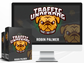 Robin-Palmer-Traffic-Underdog-Free-Download