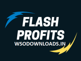 Ryan-Mac-Flash-Profits-Download