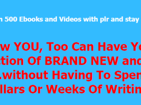 Success-PLR-Package-Over-500-PLR-Products-Free-Download.