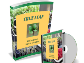 True-Leaf-An-Evergreen-Market-Disrupter-Download.