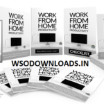Work-From-Home-Productivity-PLR-Download