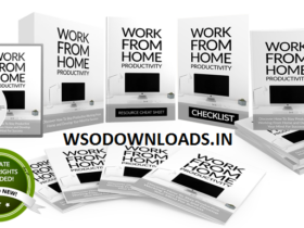 Work-From-Home-Productivity-PLR-Download