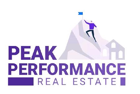 Clever Investor peak performance real estate free download