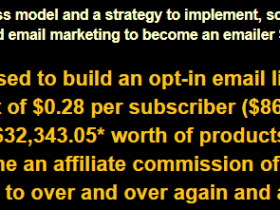 How to be an eMailer millionare on autopilot in 5 steps free download