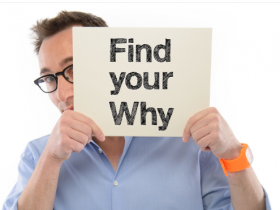 SimonSinek why discovery course free download