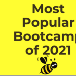 Stockbee bootcamp free download