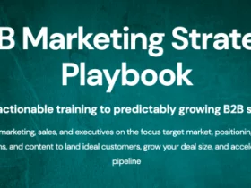 Zinkevich & Blagojevic B2B Marketing Strategy Playbook Free Download