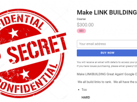 Holly Starks – Make LINK BUILDING Great Again! Download