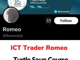 ICT Trader Romeo – Turtle Soup Course Download