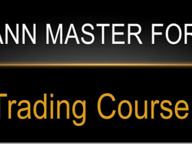 Matei – Gann Master Forex Course Download