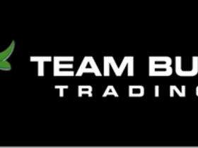 Team Bull Trading Academy Download