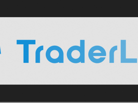 Traderlion – Private Access Pro Webinars 2021-2022 Download