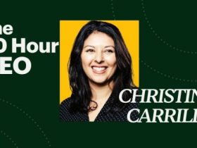 Christine Carrillo – The 20 Hour CEO Download