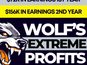 [METHOD] WOLF’S EXTREME PROFITS – Not Your Grandma’s Guide To Pennies – Premium Pack Download