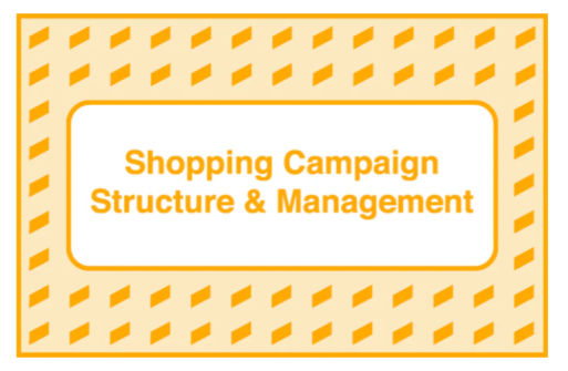 Take Some Risk – Shopping Campaign Structure and Management Download