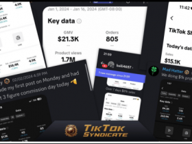 TikTok Syndicate – The Ultimate Guide to Paying Your Bills With TikTok Shop Download